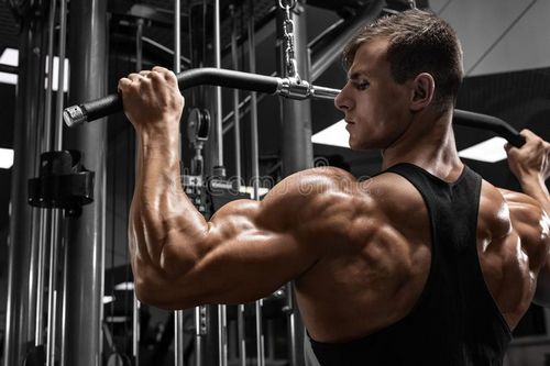 ¿Cómo afectan los esteroides al sistema nervioso?